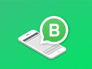 WhatsApp Contact